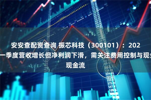 安安查配资查询 振芯科技（300101）：2025年一季度营收增长但净利润下滑，需关注费用控制与现金流